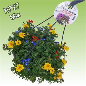 Afbeelding van Hp27 multi mix circus parade new